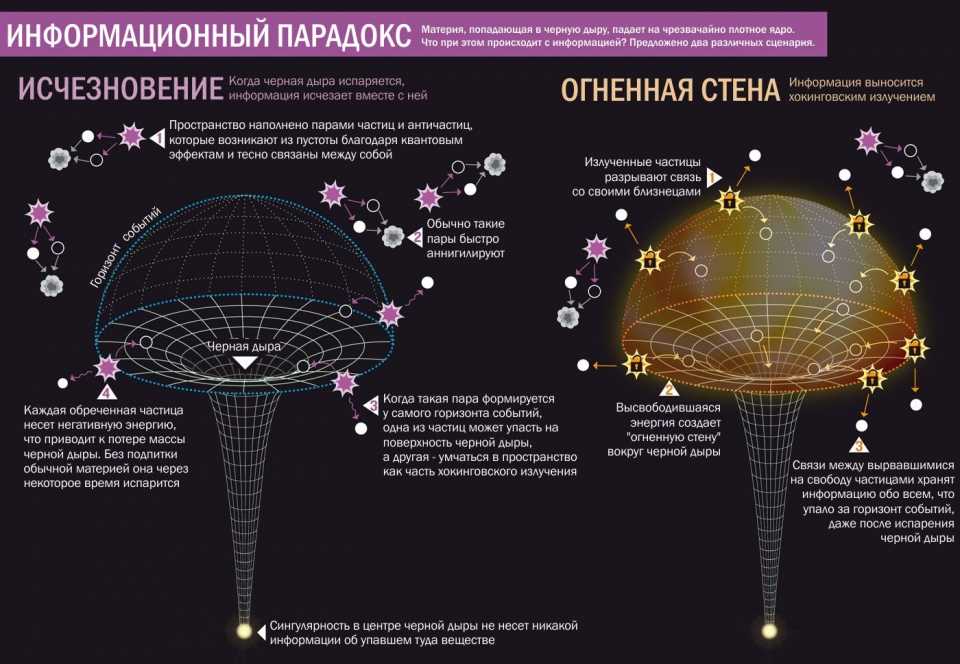 Зрители заполненного зала