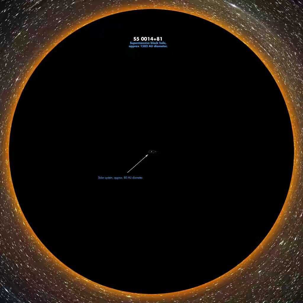 Толпа вокруг черной дыры: феномен научного исследования