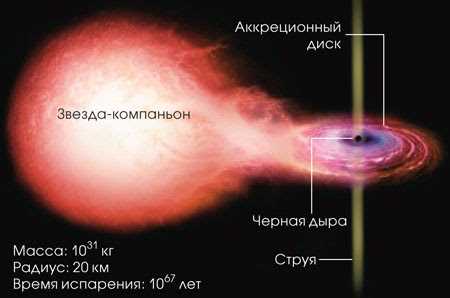 Аномальные свойства планковской чёрной дыры