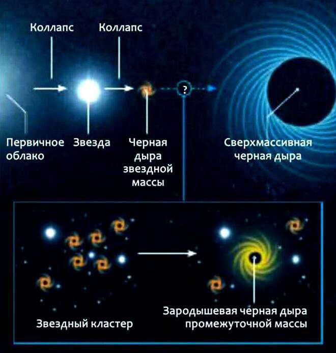 В каком созвездии находится черная дыра — удивительные открытия и факты!