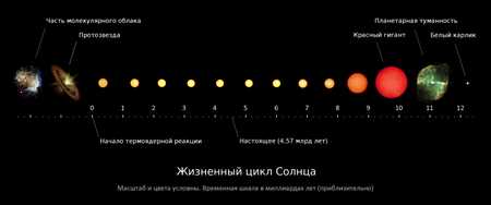 Звезды солнечной системы: названия и особенности